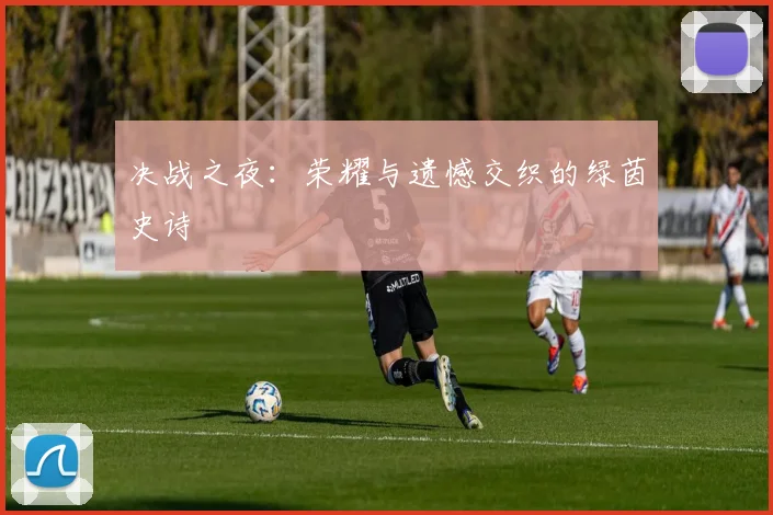 决战之夜:荣耀与遗憾交织的绿茵史诗