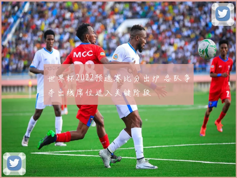 世界杯2022预选赛比分出炉 各队争夺出线席位进入关键阶段