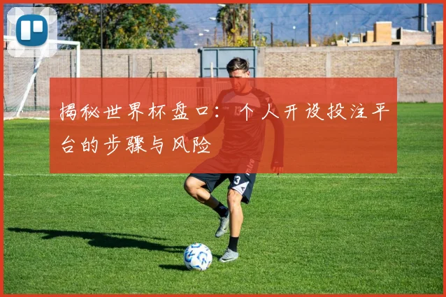 揭秘世界杯盘口：个人开设投注平台的步骤与风险
