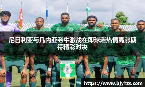 尼日利亚与几内亚老牛激战在即球迷热情高涨期待精彩对决