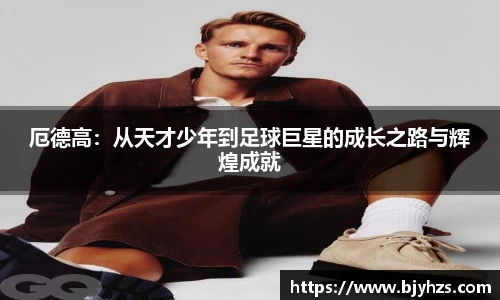 星空综合官网