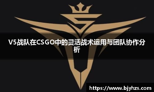 V5战队在CSGO中的灵活战术运用与团队协作分析